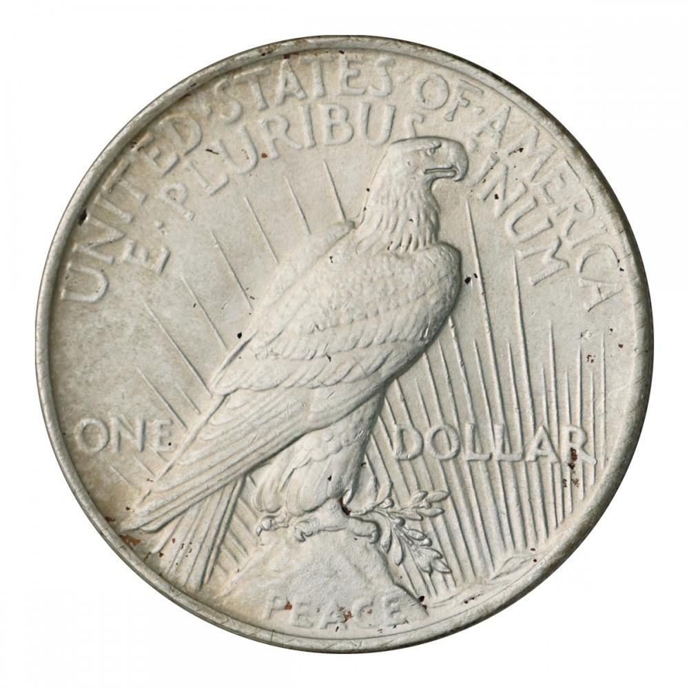 アメリカ 1924年1ドル銀貨 ピースダラー（極美～未使用） - セキグチは