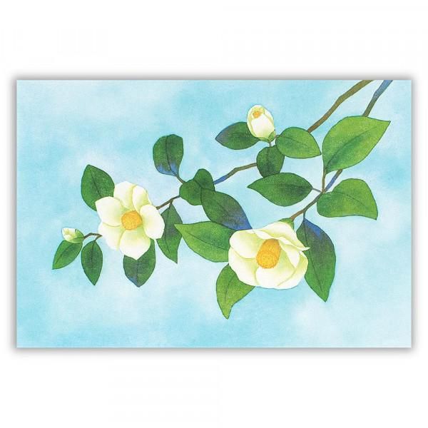 ポストカード 白椿 - エヌビー社 OFFICIAL ONLINE SHOP