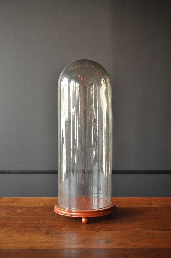 アンティーク ガラスドーム・2 H55cm/フランスアンティーク雑貨・家具