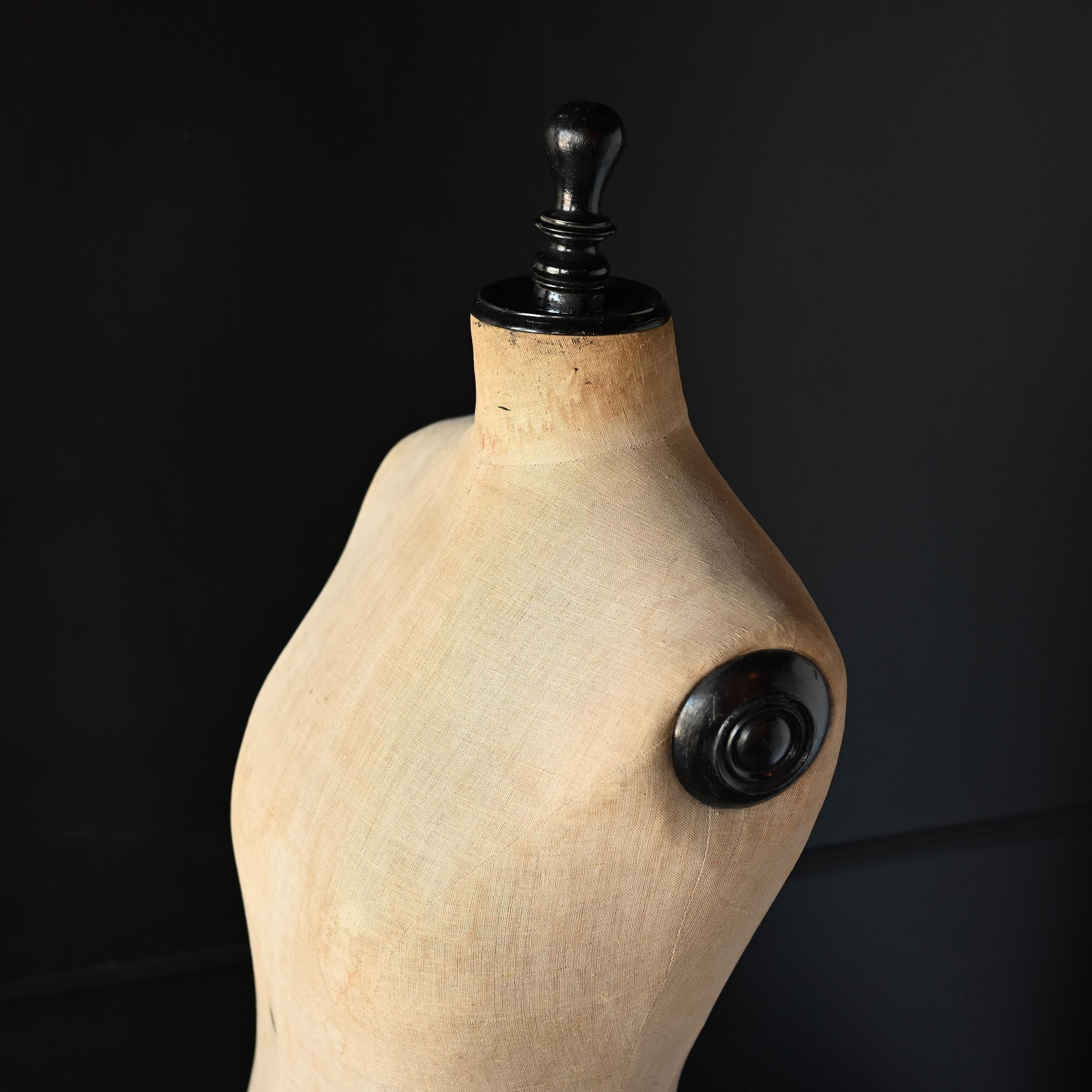 アンティークトルソー・3/stockman ストックマン Sibora【シボラ】