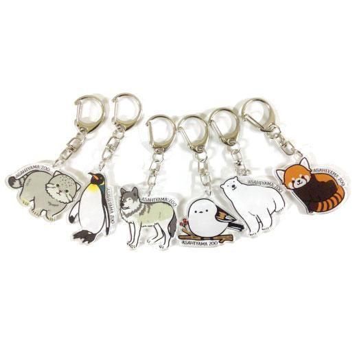 旭山動物園くらぶ オリジナルアクリルキーホルダー（全6種類）《☆LP