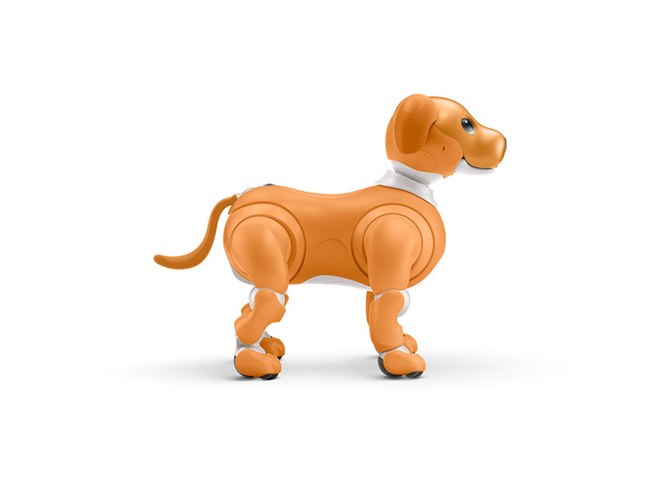 ソニー、aibo（アイボ）の2020年限定カラーモデル「キャラメル