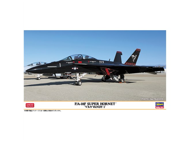 2023年3月に突如現れた“黒い戦闘機”F/A-18Fスーパー ホーネット「Vandy