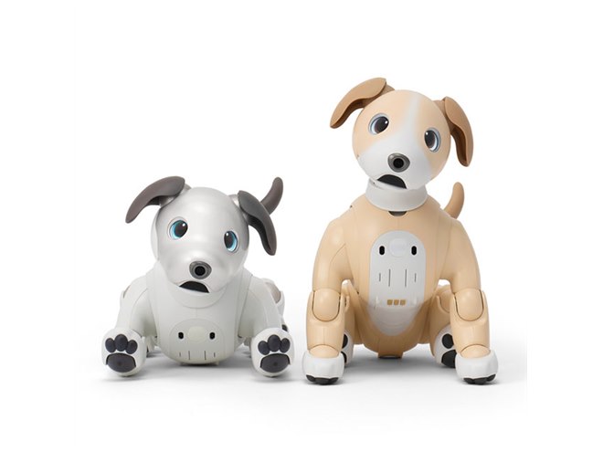 ソニー、「aibo」の2024年カラー「きなこ エディション」 - 価格.com