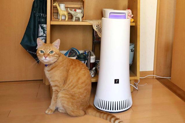 シャープ DY-S01 価格比較 - 価格.com