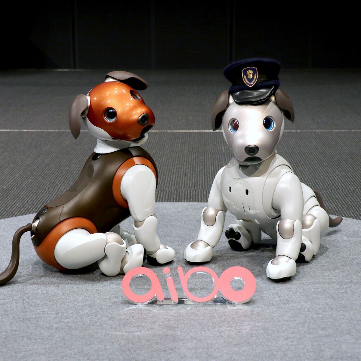 aibo」が番犬に！？ 新サービス「aiboのおまわりさん」が安心で