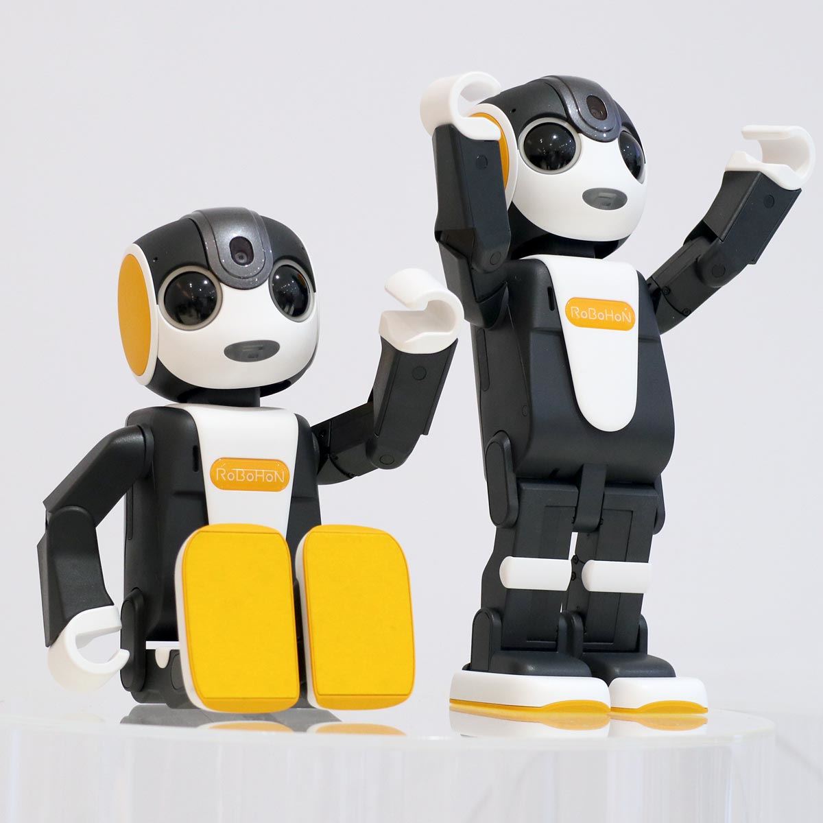 新「ロボホン」は留守番や家電連携が可能に！ 手ごろな価格の着座