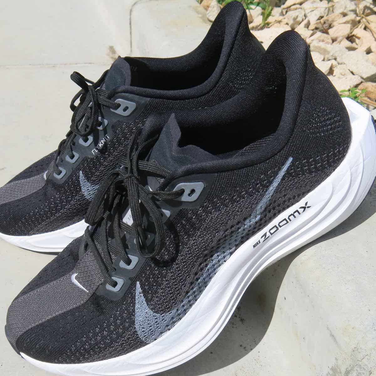 ターボ」の正統後継者！ ファン待望の「ナイキ ペガサス プラス」を