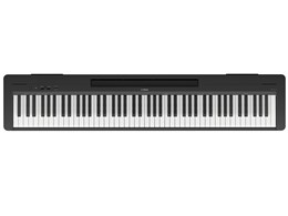 電子ピアノ 88鍵」の人気商品一覧 | 安い商品を通販サイトから探す
