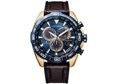 シチズン プロマスター LAND-エコ・ドライブ電波時計 CB5039-11L 価格