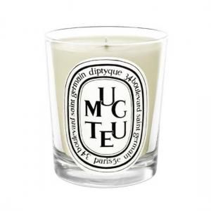 正規通販】diptyque ディプティック キャンドル | THE PARK ONLINE SHOP