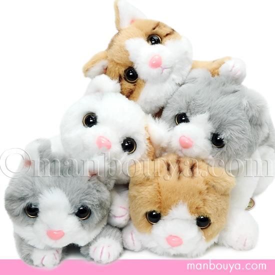 ネコ ぬいぐるみ 猫 キュート販売 CUTE くたくたにゃんこ 24cm - 海の