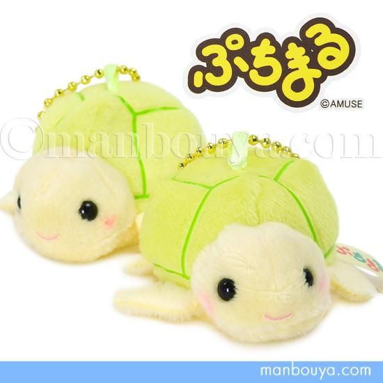 水族館 カメ ぬいぐるみ ウミガメ アミューズ AMUFUN ぷちまる