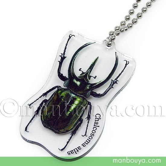 リアル 昆虫 グッズ カブトムシ アクリルキーホルダー アクキー