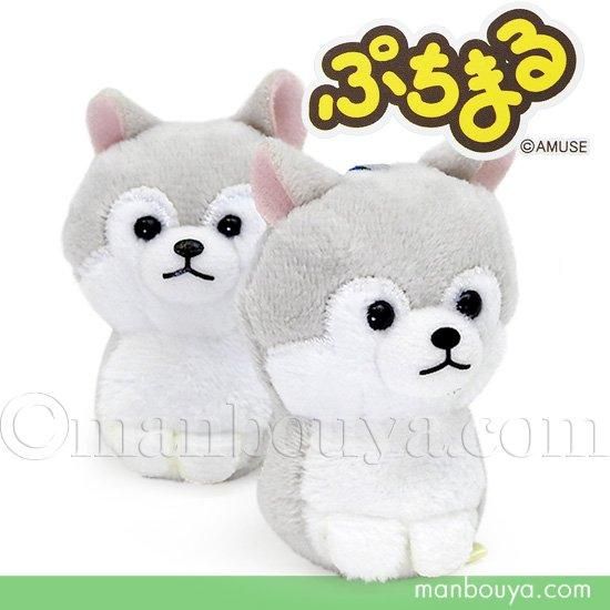 オオカミ ぬいぐるみ ぷちまる DX 動物 マスコット アミューズ AMUFUN