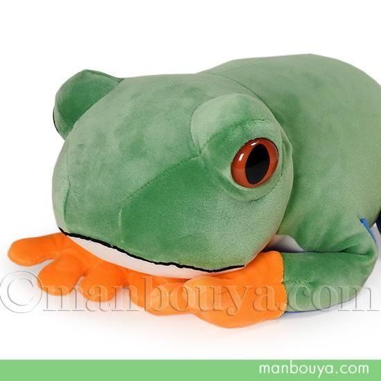 カエル ぬいぐるみ アカメアマガエル テイクオフ takeoff アニマニア M