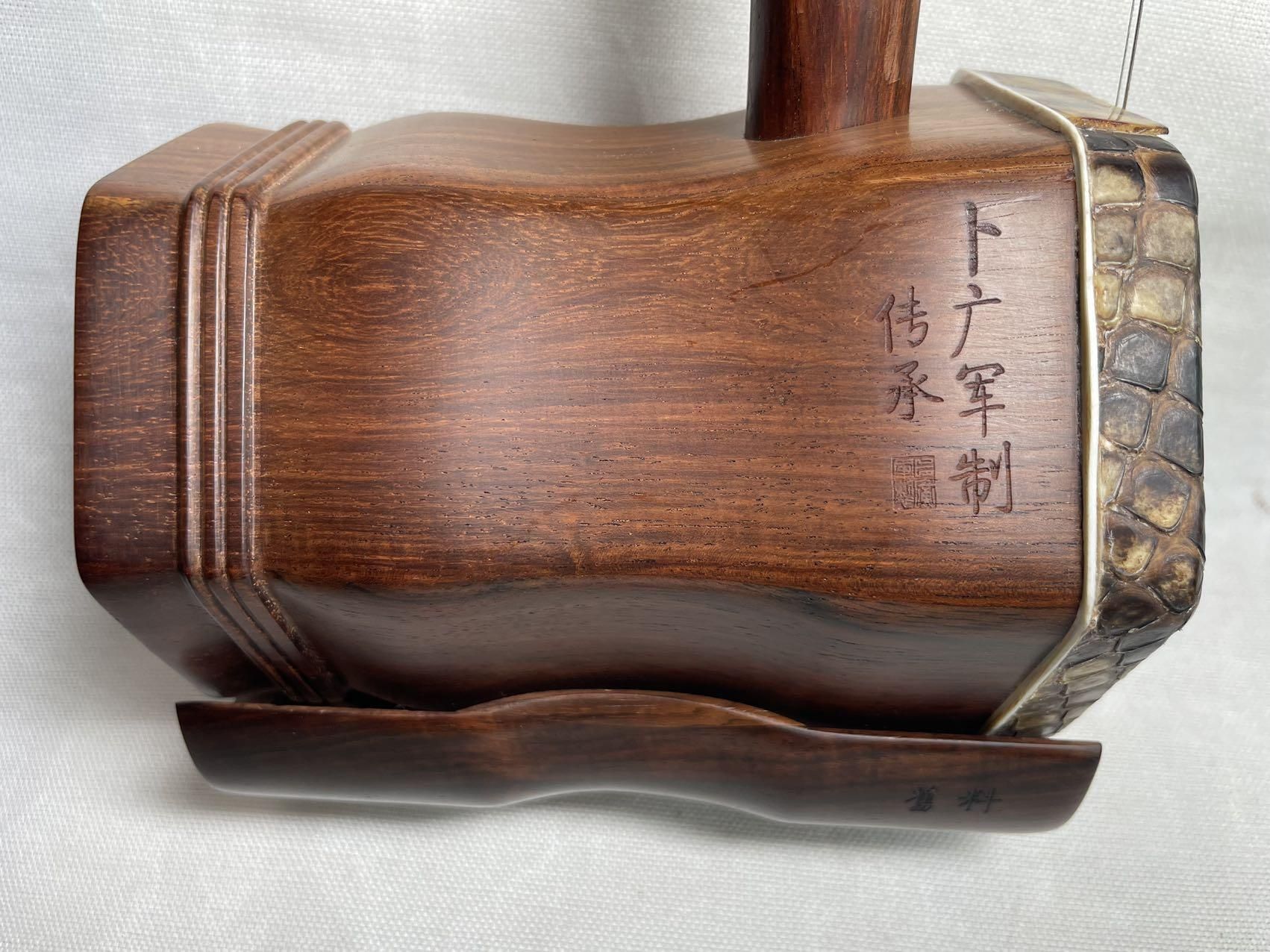 法螺貝 約37㎝ 木製歌口,新品 MH-459 法螺貝 約37㎝ 木製歌口,新品 MH