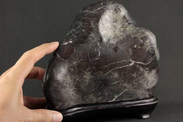 根尾谷産 菊花石 台付き 1.5kg｜天然石 原石 通販のキラリ石