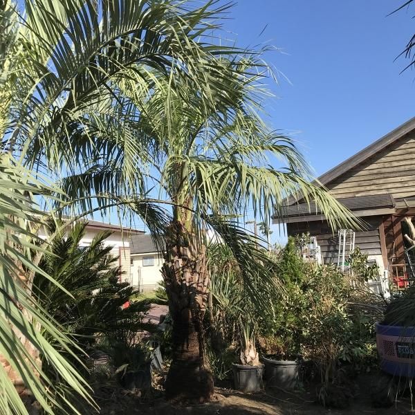 147550059.jpg?cmsp_timestamp=