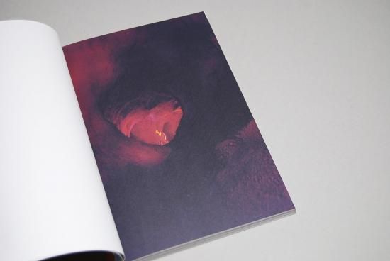 Moonmilk Ryan McGinley ライアン・マッギンレー 写真集 - 古本買取 2