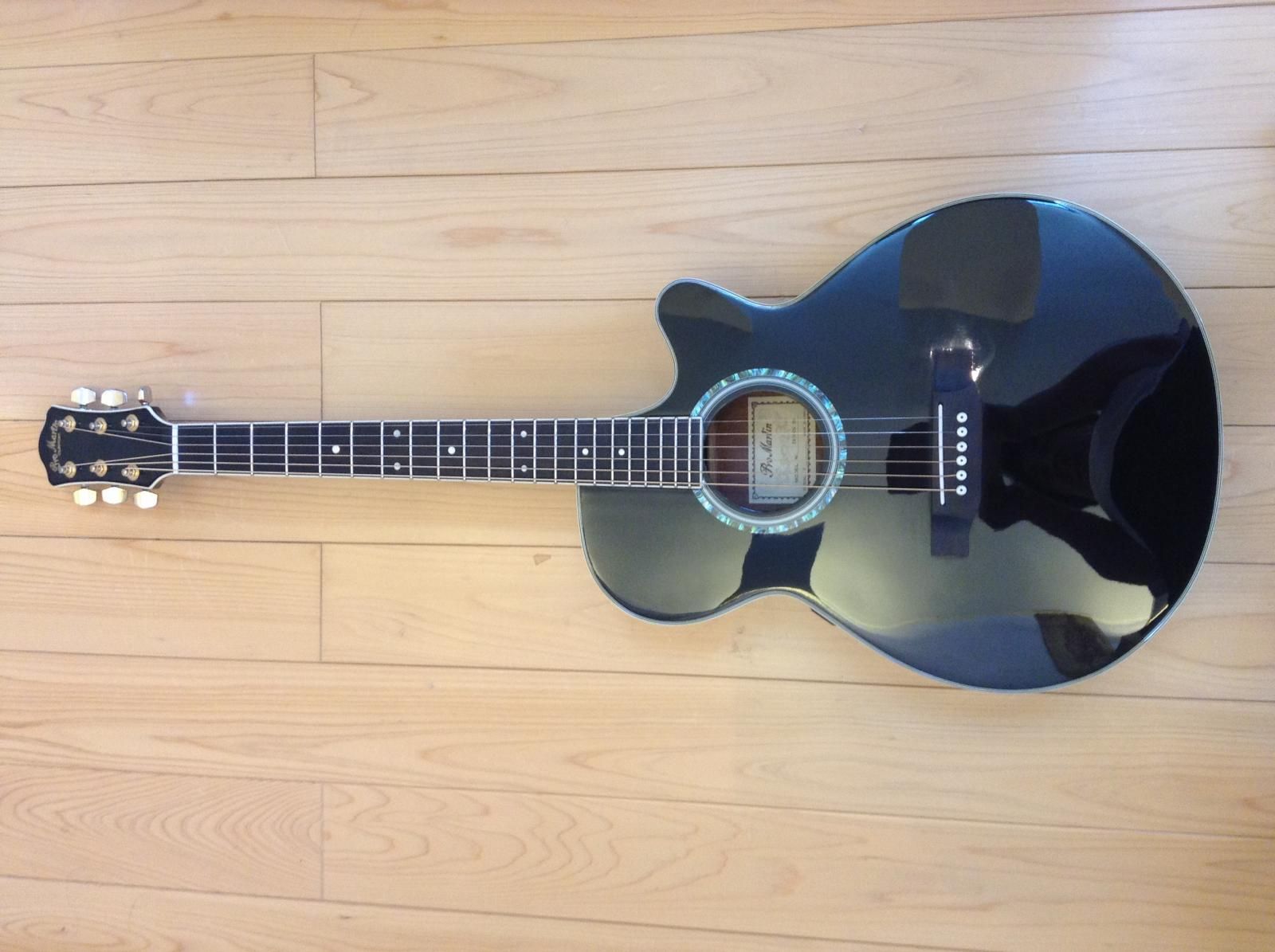 Pro Martin/プロマーチン EA-500W エレアコ 黒 - C・I・K Custom