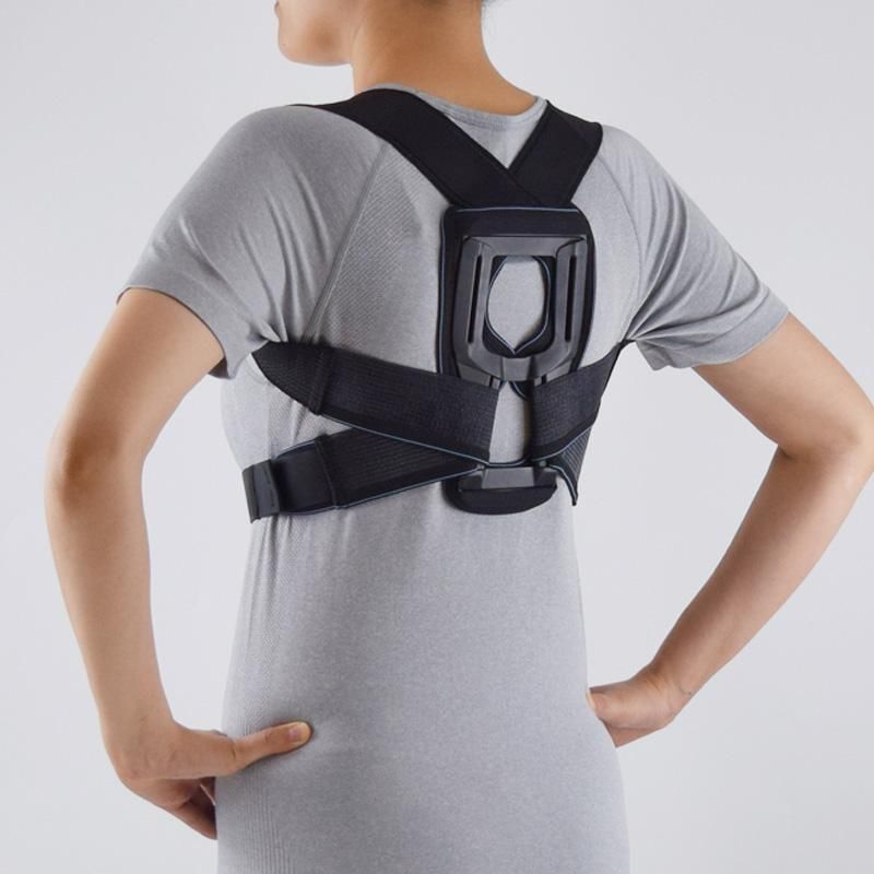 皮膚感覚スマートベルト 姿勢 - 皮膚感覚ノーブルサポーター＆リー