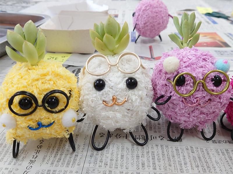 制作キット】多肉植物（R）アート水苔 | おうちでモスペット制作キット