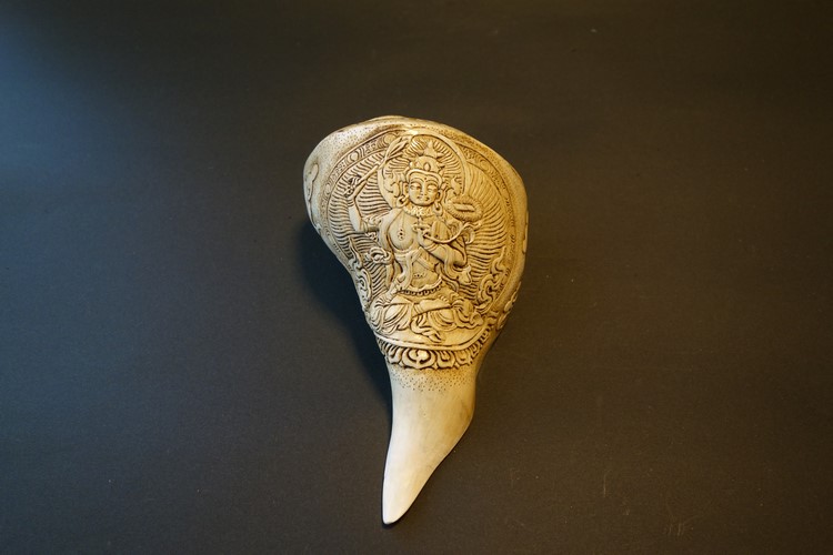 ほら貝・法螺貝・ホラガイ（シャンカ） 文殊菩薩 販売｜大阪 多羅堂