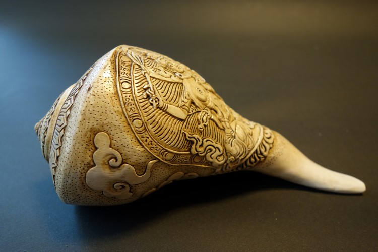 ほら貝・法螺貝・ホラガイ（シャンカ） 文殊菩薩 販売｜大阪 多羅堂