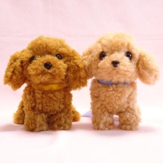 サンレモン】 パプス！ Sサイズ トイプードル 【いぬ】 - 【ぷちぽっけ