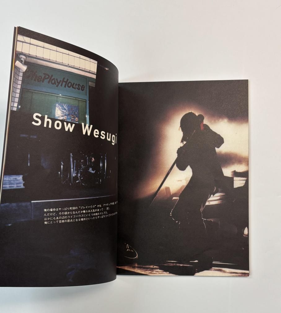 WANDS 1995年ツアー・パンフレット LIVE-JUNK #2 PIECE OF MY SOUL