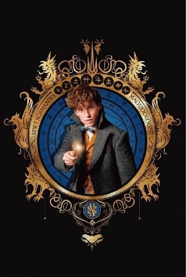 11.ニュート・スキャマンダー B】ファンタスティック・ビースト