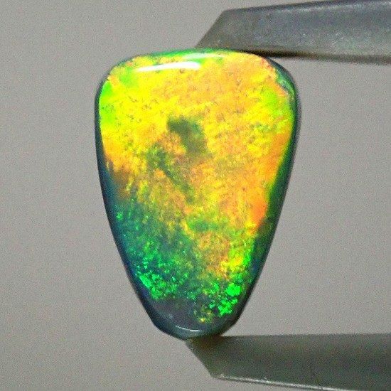 貝化石】シェルオパール/ブラックオパール標本【ライトニングリッジ産