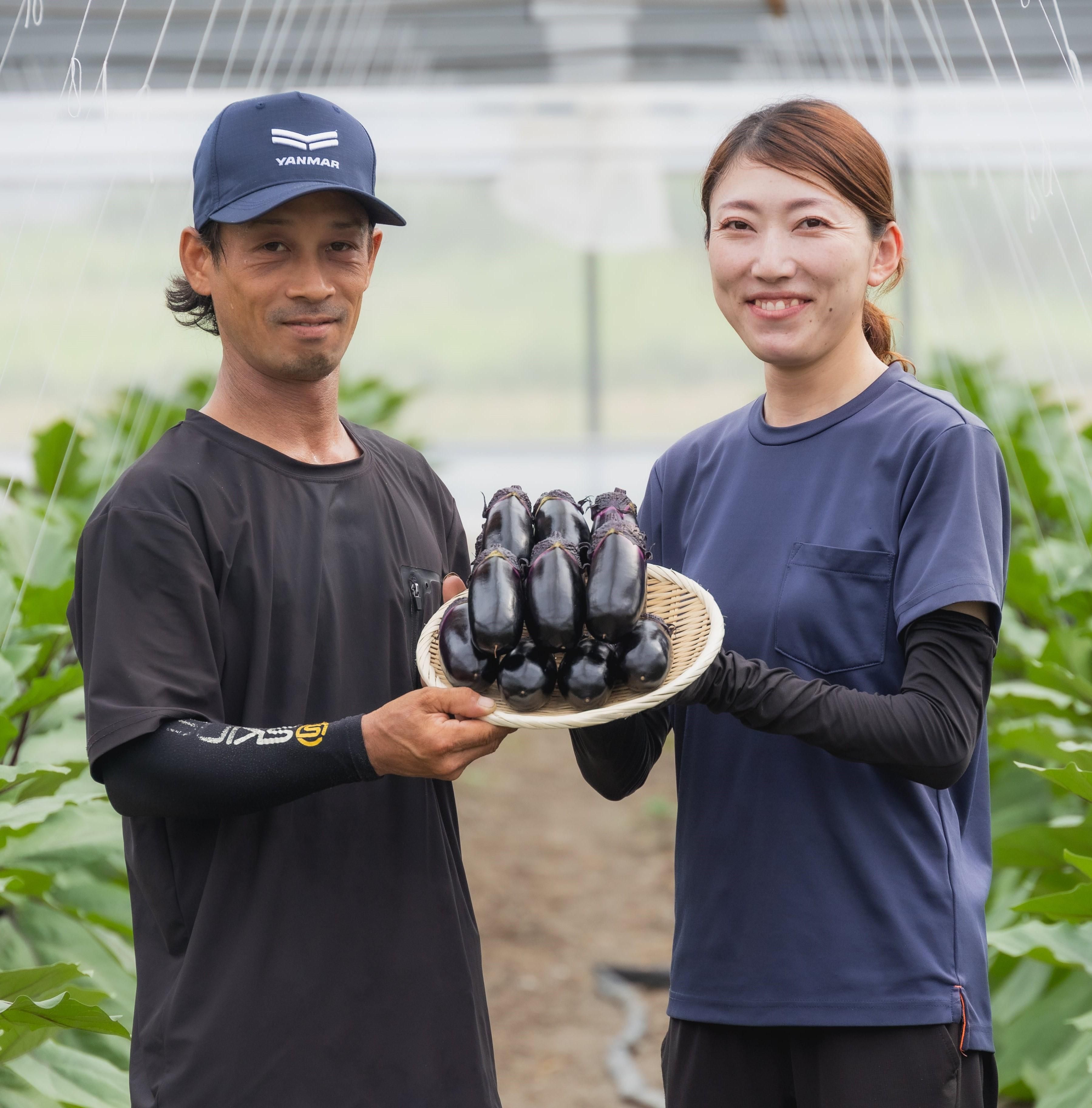 立仙農園】うちのなす1.5kg - 土佐香南まるごと旨市