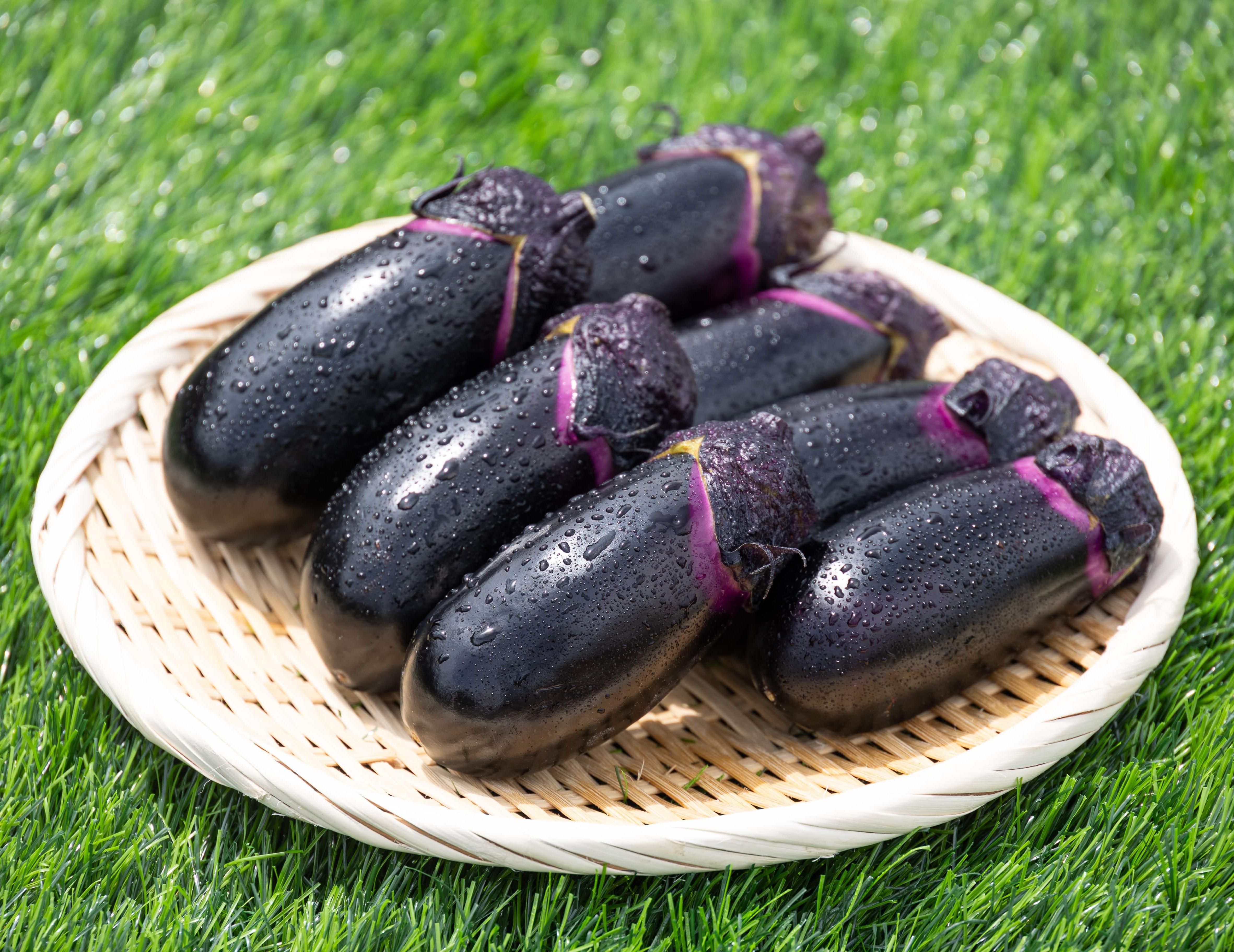 立仙農園】うちのなす1.5kg - 土佐香南まるごと旨市