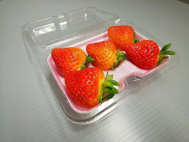 イチゴ5個用トレー 「イチゴ5P」 100枚 - 農業資材の江口屋オンライン