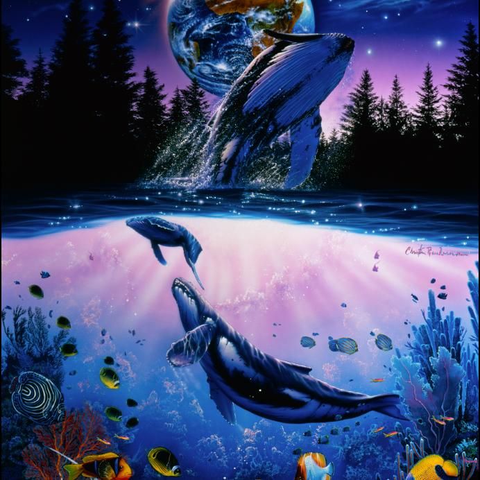 WHALE STAR II | クリスチャン・ラッセン | 版画 | 日本正規販売代理店