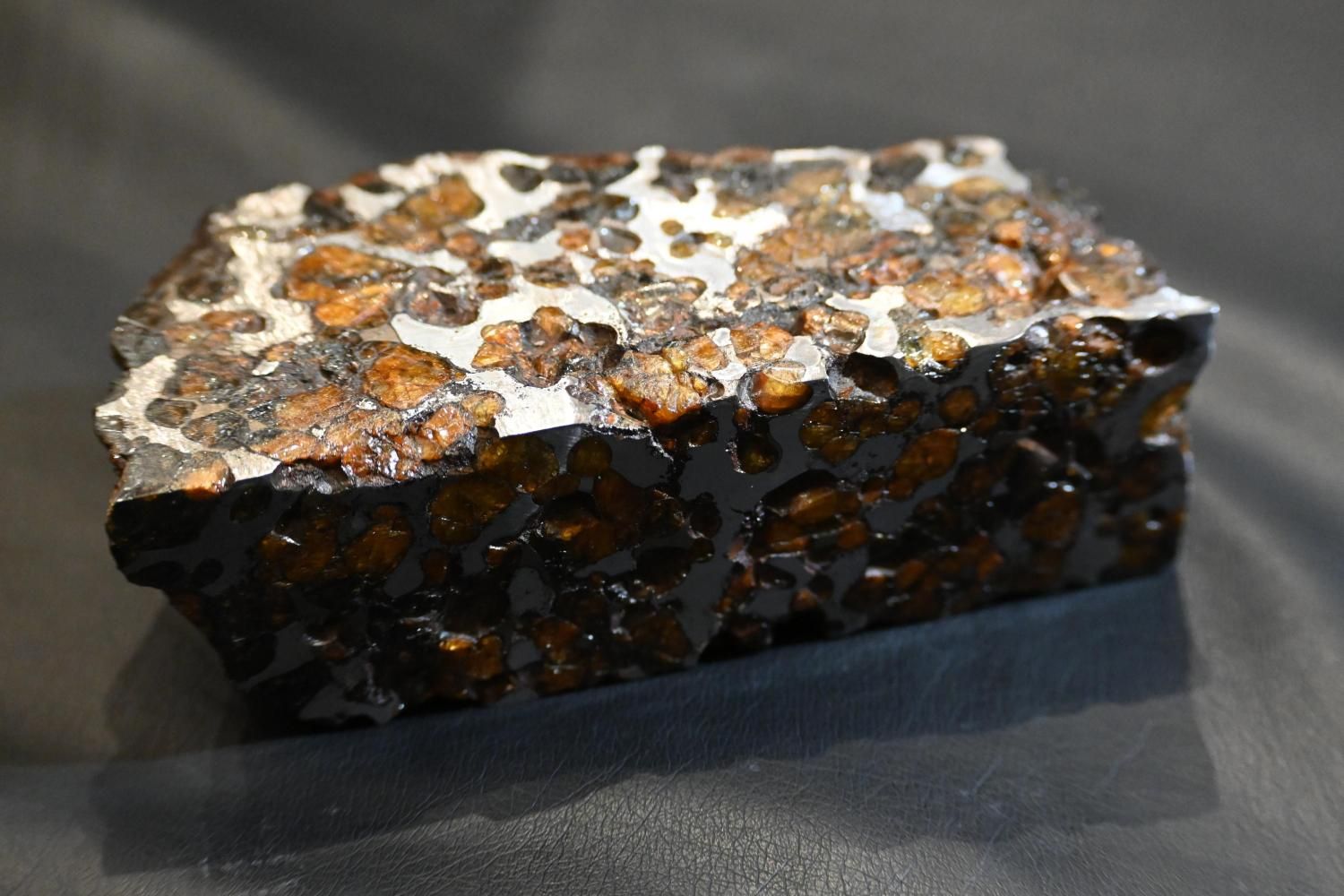 隕石 - 隕石・化石のサイトウ 通販ショップ