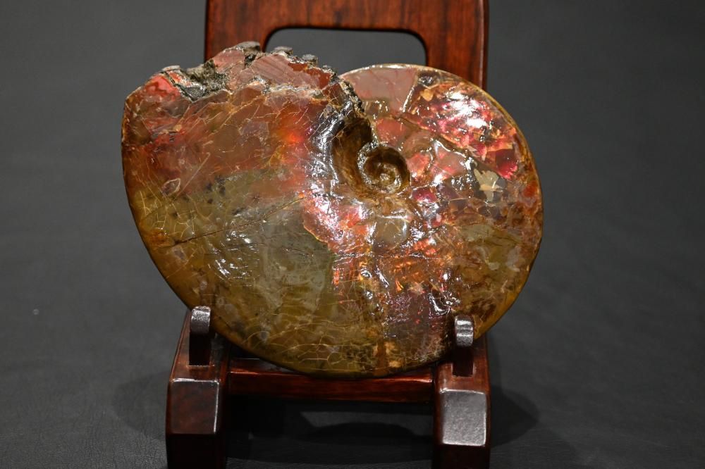 アンモライト（ammolite）