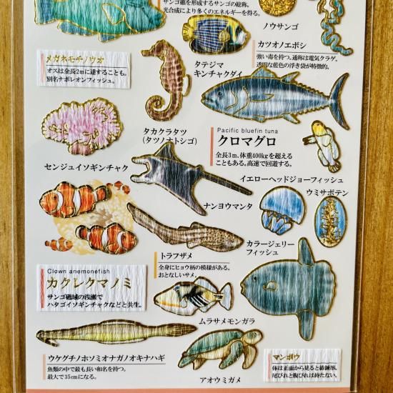 大人の図鑑シール 暖かい海の生き物編