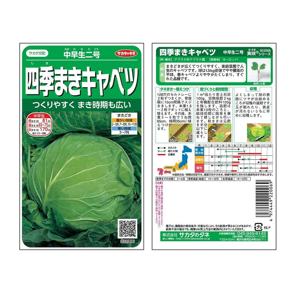 金系 201号キャベツ | 花＆グリーン 通販 | ホームセンターのカインズ