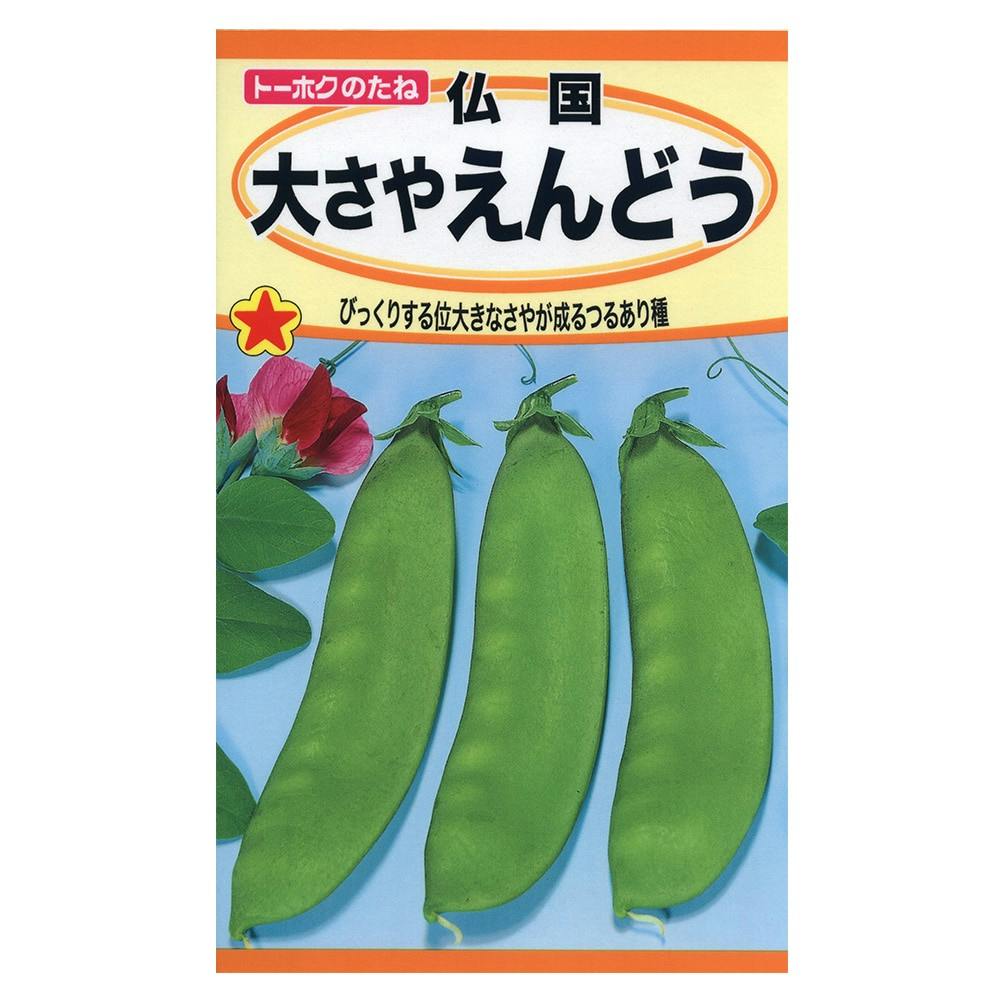仏国大さやえんどう | 花＆グリーン 通販 | ホームセンターのカインズ