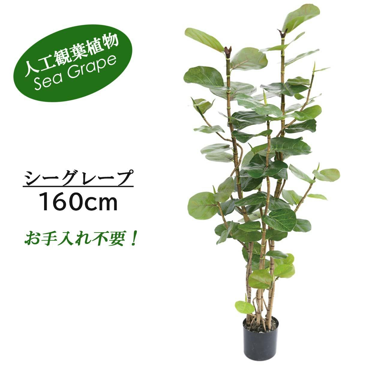 GREEN COFFRET シーグレープ160cm 人工観葉植物 フェイクグリーン
