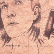 David Sylvian - OTOTOY