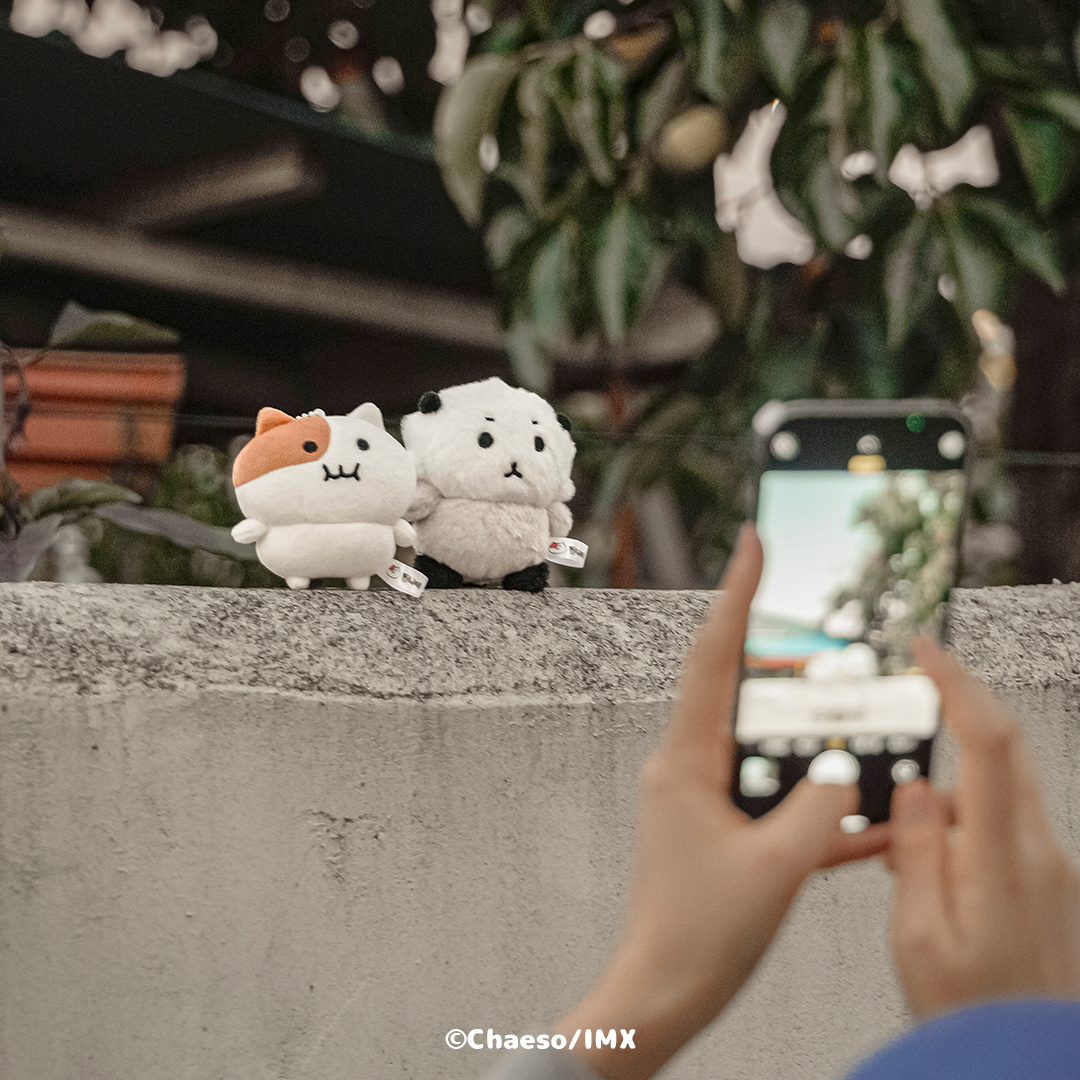 もちにゃみ＆ヘダリぬいぐるみSET – もちにゃみ公式オンラインストア