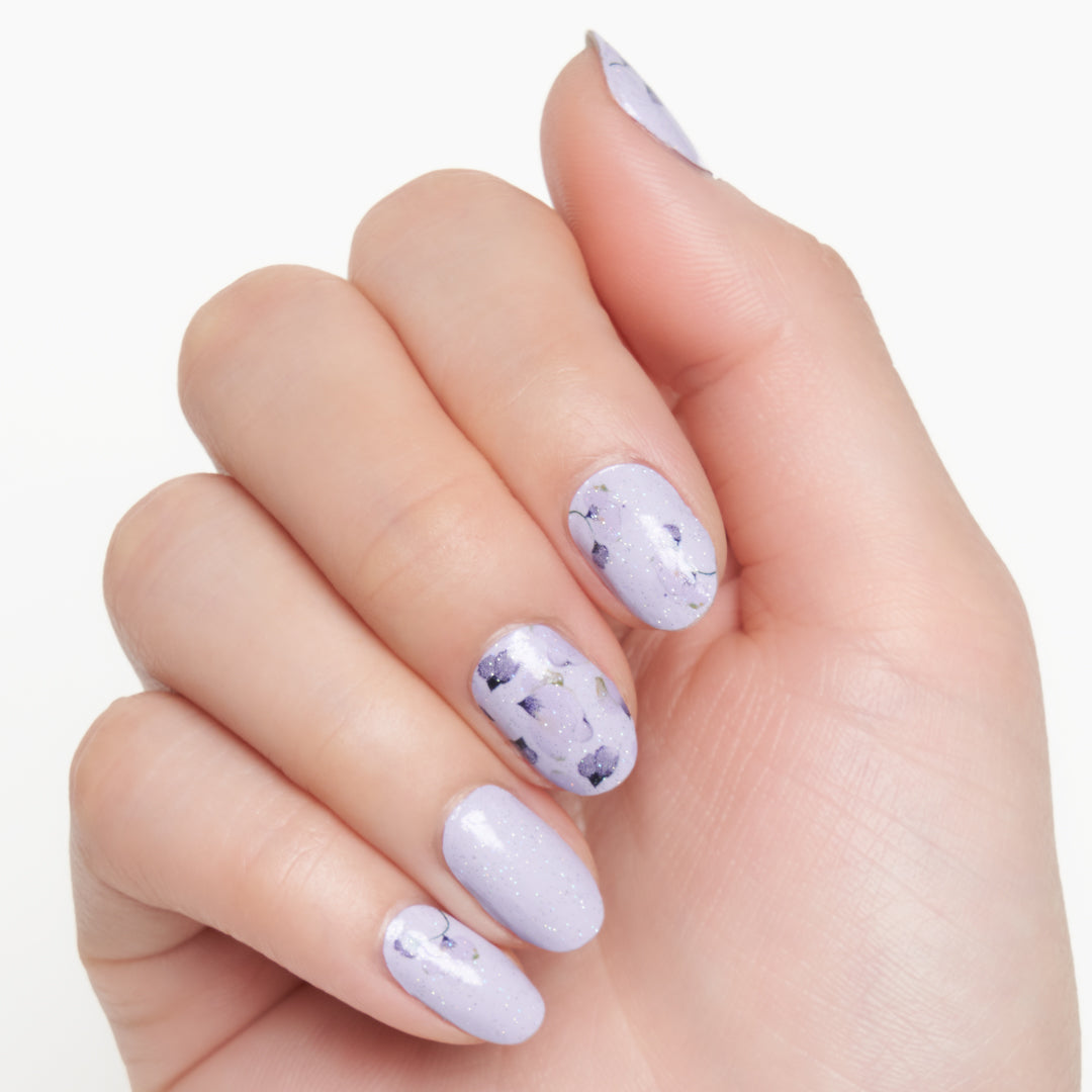 パンジーパラダイス (Pansy Paradise)