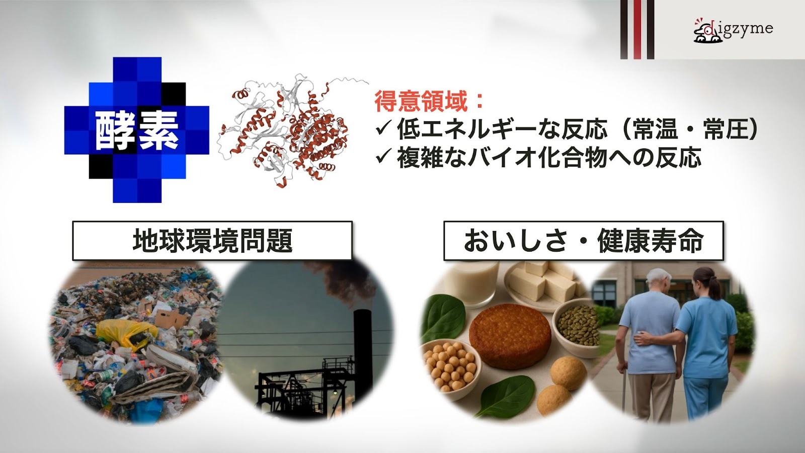 イノベーションに有用な酵素の開発から生産まで担う酵素のアクセラ