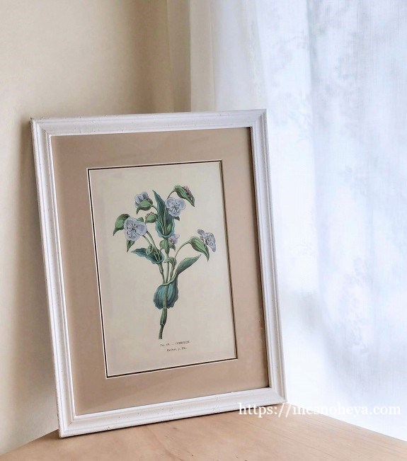 ボタニカルアートフレーム額B - フランスアンティーク （フレンチ