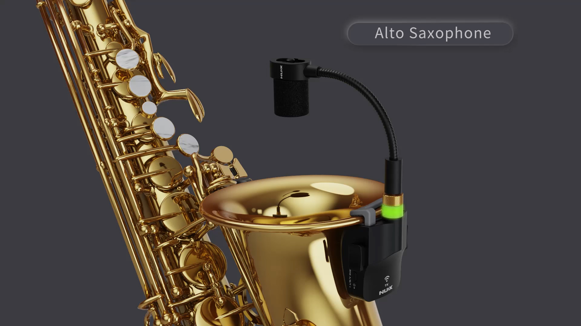 b6_alto.jpg
