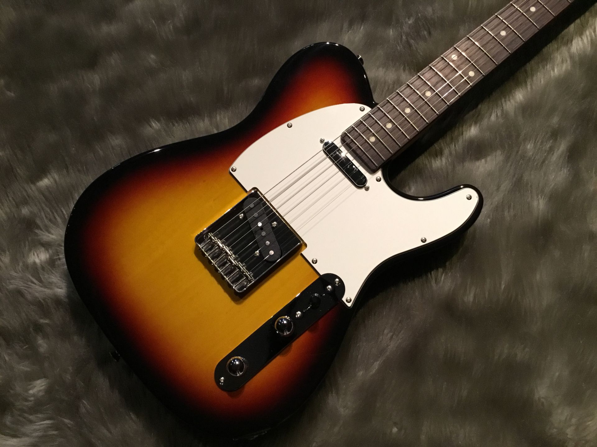 エレキギター】HISTORY – CZシリーズ入荷しました！｜島村楽器 久留米